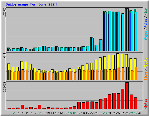 Daily usage for June 2024