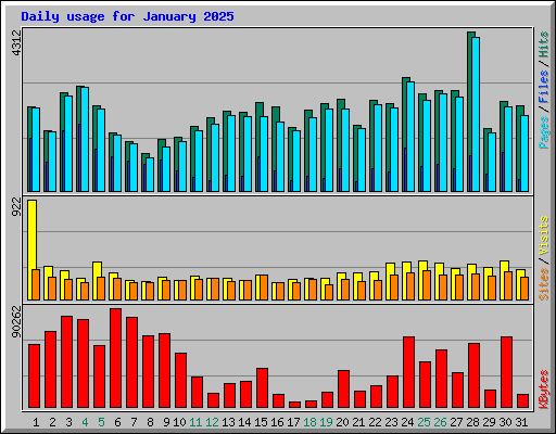 Daily usage for January 2025