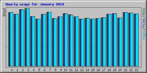 Hourly usage for January 2019