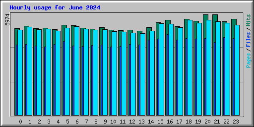 Hourly usage for June 2024