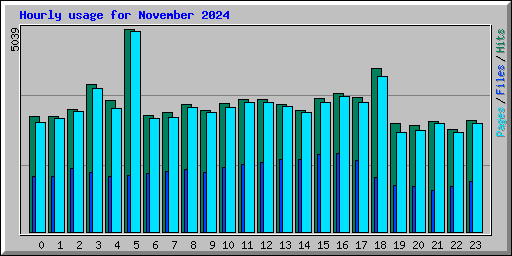 Hourly usage for November 2024