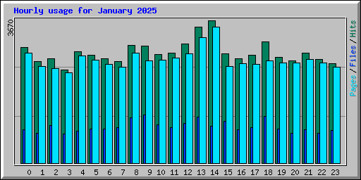 Hourly usage for January 2025