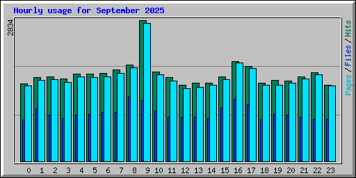 Hourly usage for September 2025