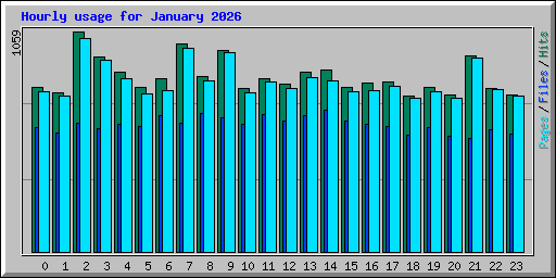 Hourly usage for January 2026
