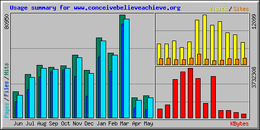 Usage summary for www.conceivebelieveachieve.org